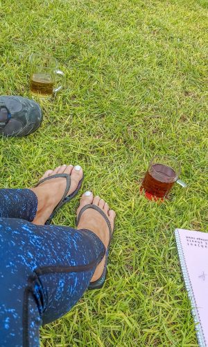 ניקוי רעלים במצפה אלומות